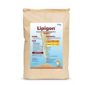 Lipigon