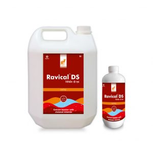 Ravical-DS